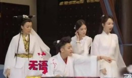 爆料黄子韬杨紫视频,幕后真相引热议