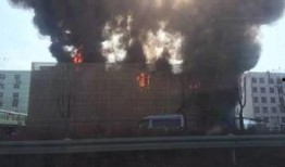 义乌网友爆料最新事件视频,最新事件视频引发热议